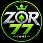 zor778 game