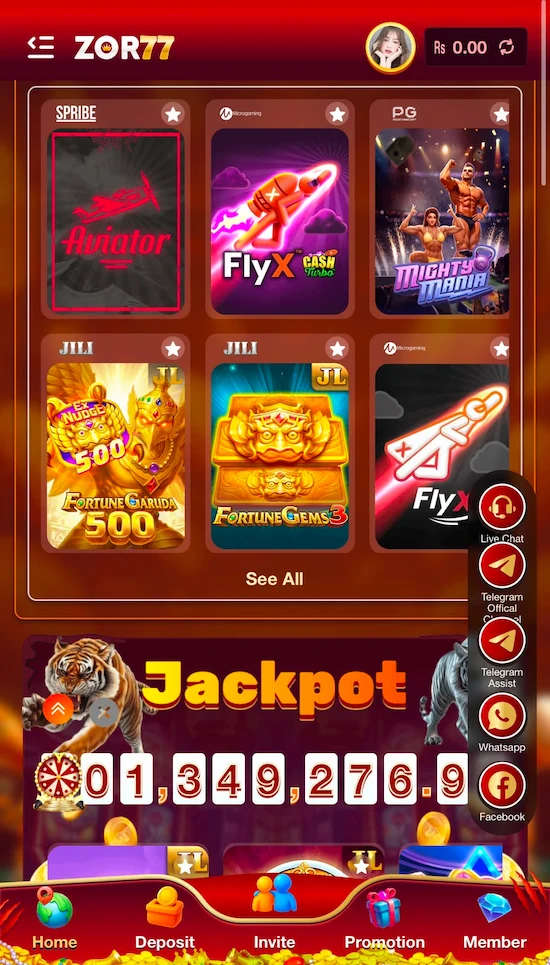 zor778 game